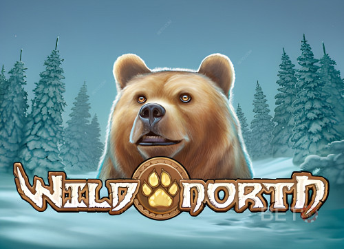 Wild North (Play’n Go)