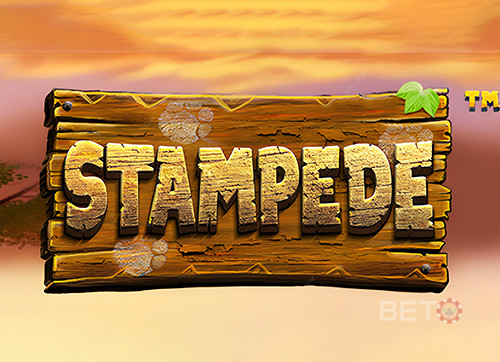 Stampede (Betsoft) 
