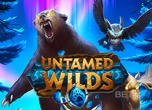 Untamed Wilds