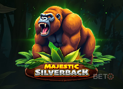 Majestic Silverback