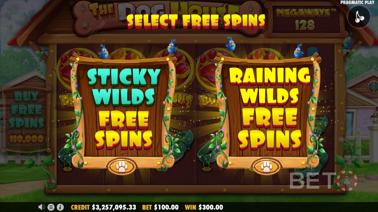 Налични са два режима на безплатни завъртания - функция Sticky Wilds Free Spins или Raining Wilds Free Spins