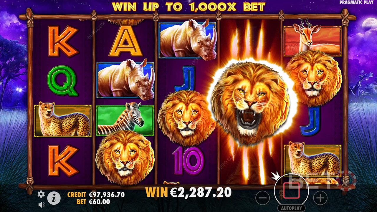 Safari King (Pragmatic Play)  Играй Безплатно