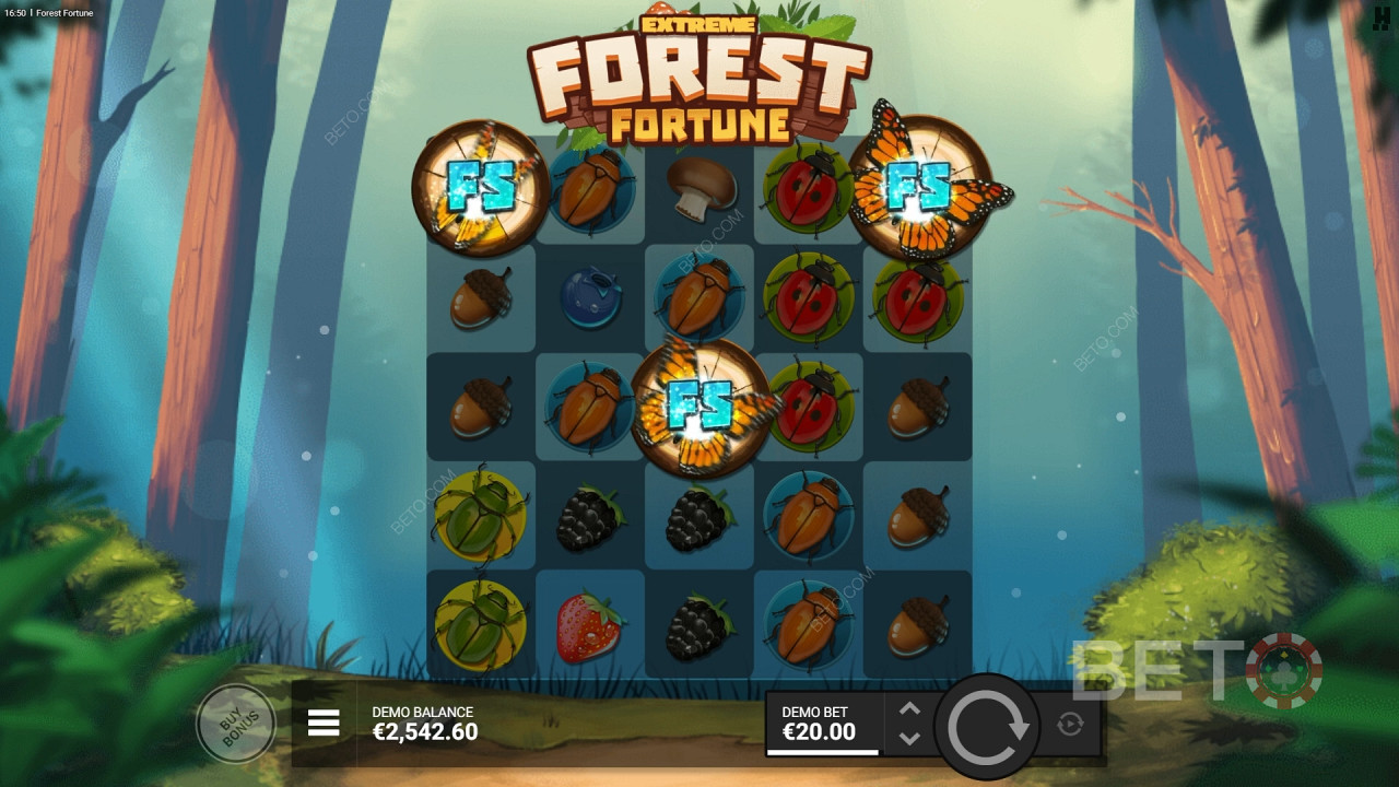 Forest Fortune Преглед от BETO Slots