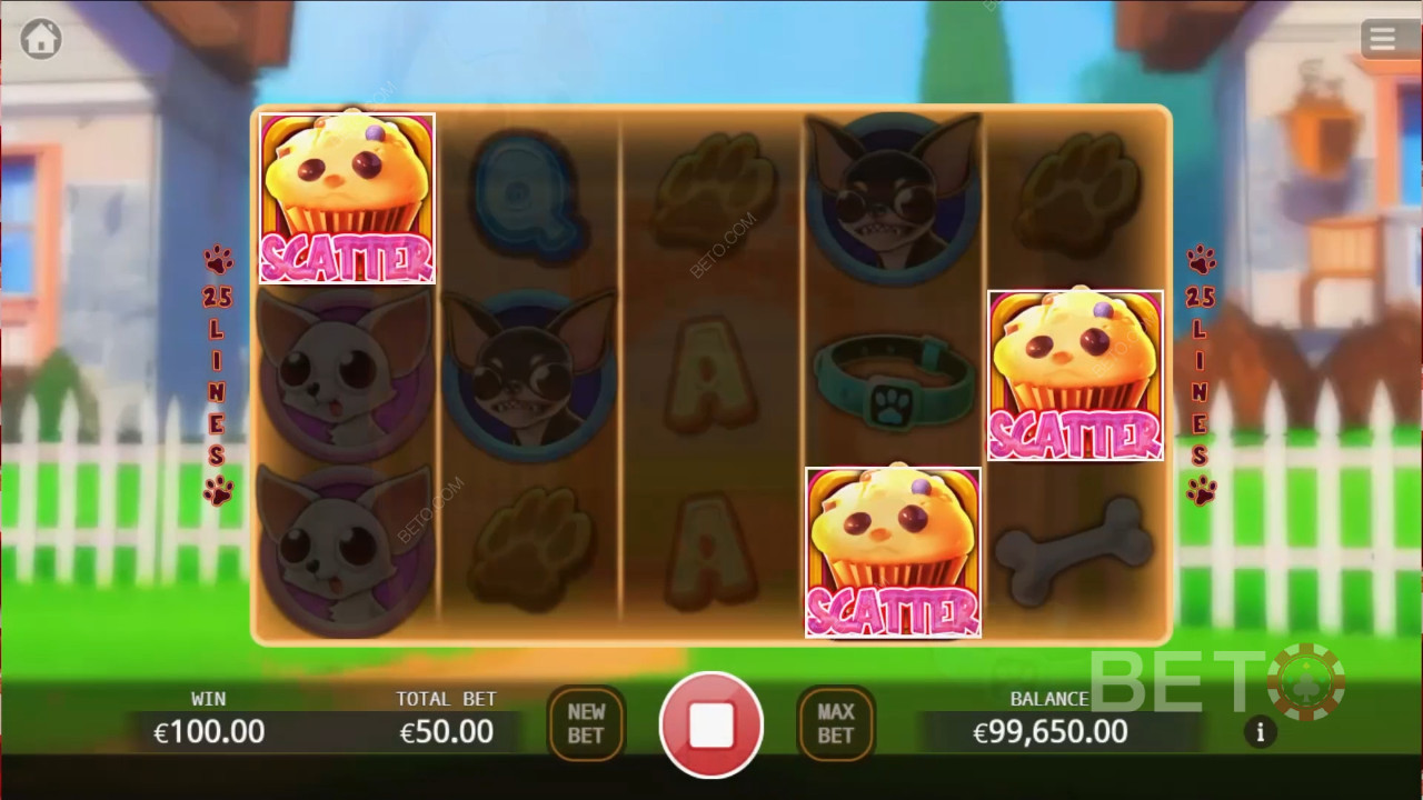 Chihuahua Party Преглед от BETO Slots