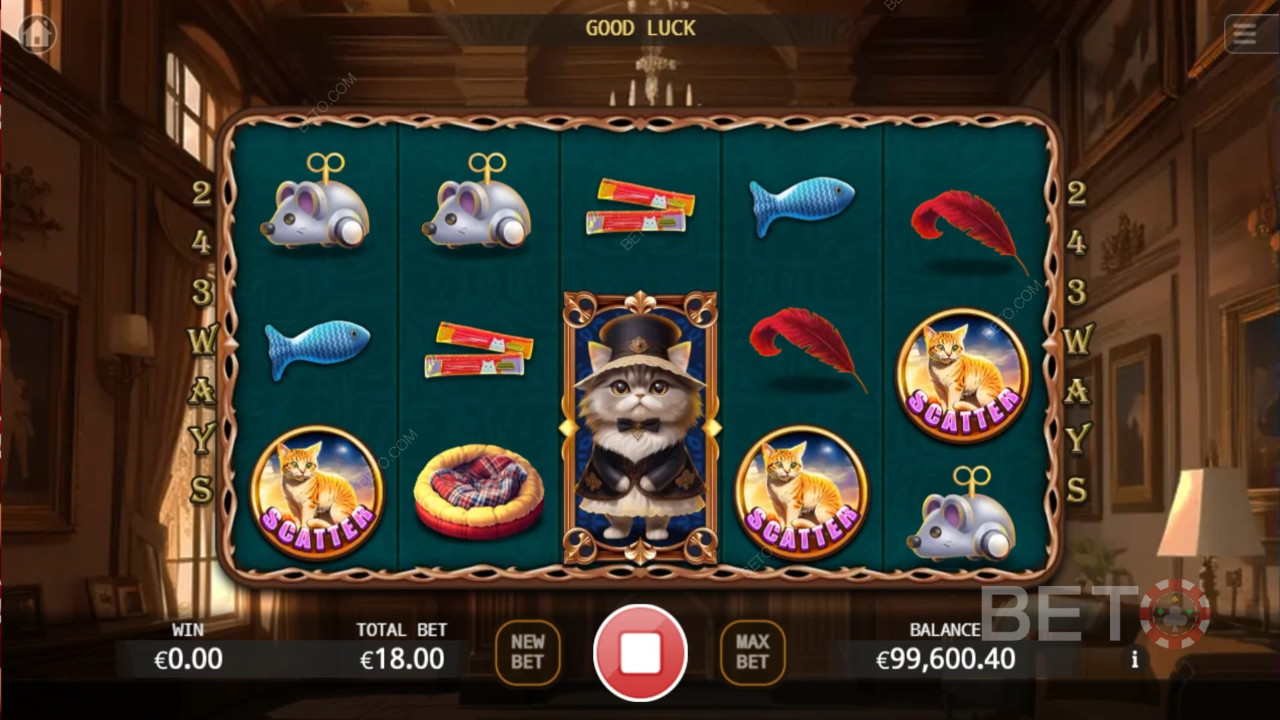 Noble Cat Играй Безплатно