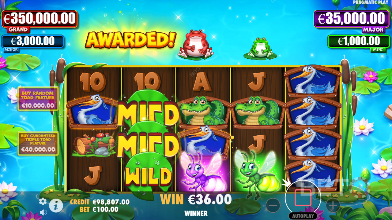 Tiny Toads Преглед от BETO Slots