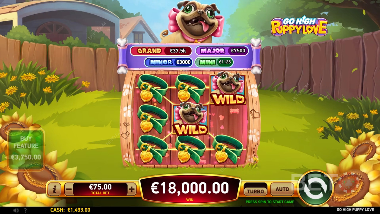 Go High Puppy Love Преглед от BETO Slots