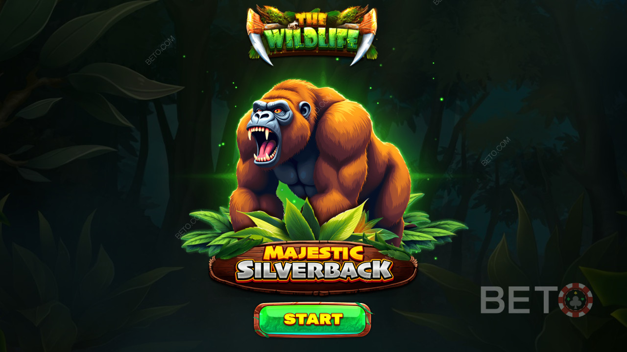 Бонус функции, обяснени в Majestic Silverback от Spinomenal