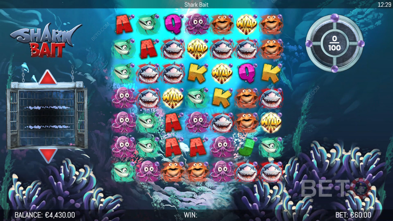 Бонус функции, обяснени в Shark Bait от Hungry Bear