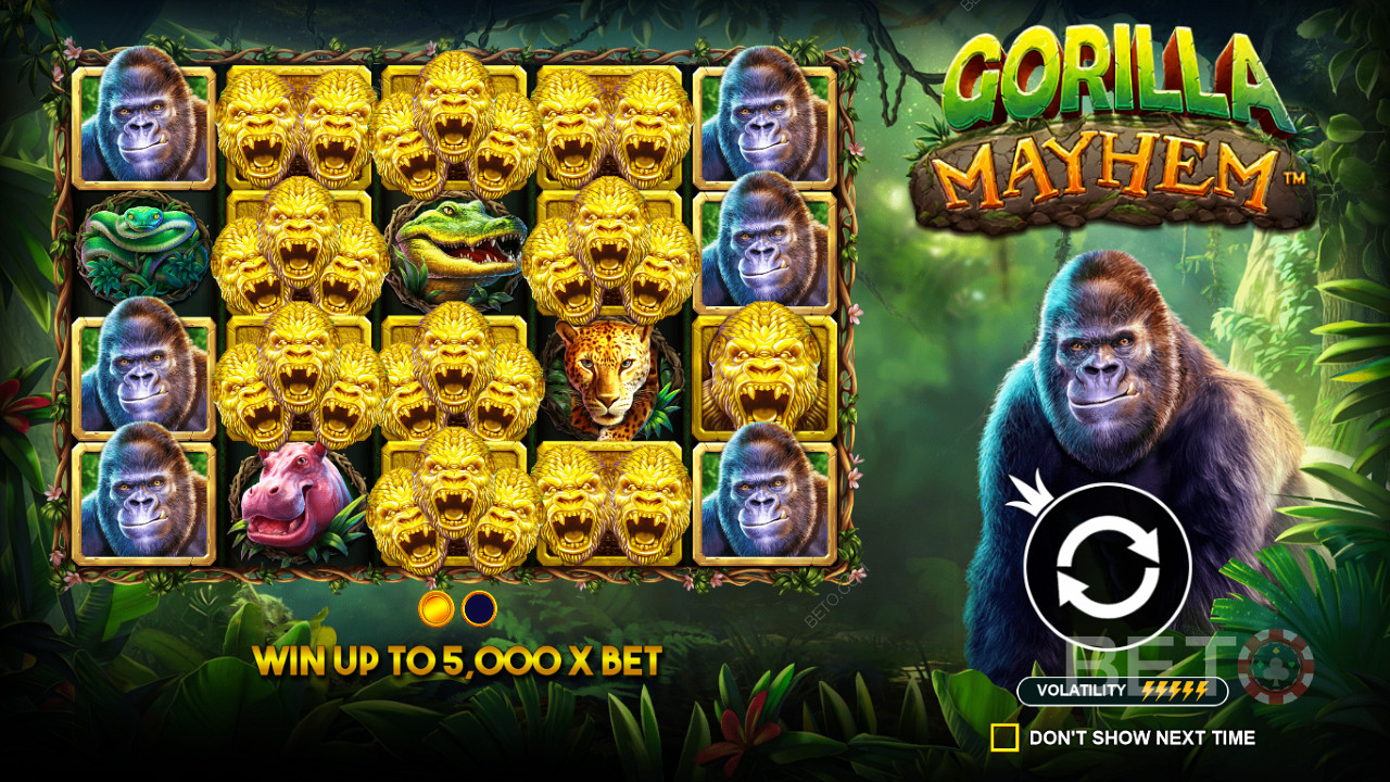 Символите Golden Gorilla играят важна роля в слота Gorilla Mayhem