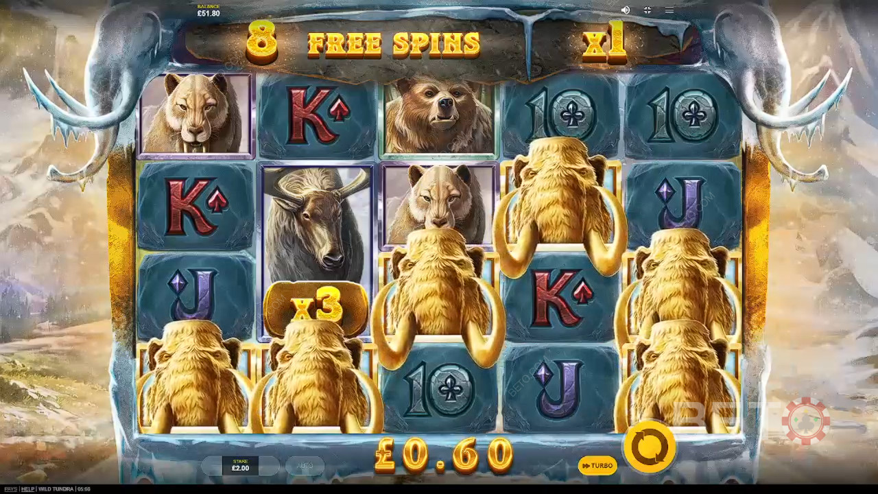 Wild Tundra Преглед от BETO Slots