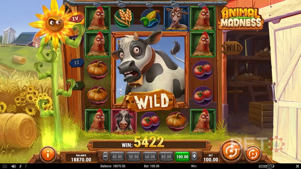 Animal Madness Преглед от BETO Slots