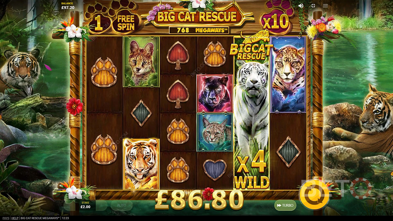 Big Cat Rescue Megaways Преглед от BETO Slots