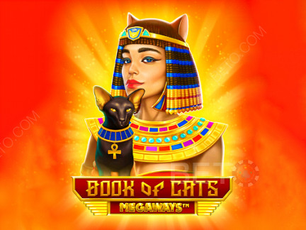 Book of Cats Megaways Демо