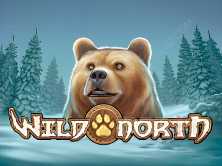 Wild North (Play’n Go) Демо
