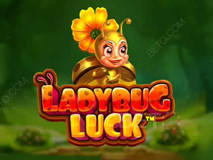 Ladybug Luck  Демо
