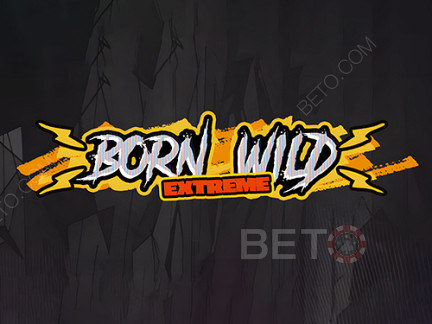 Born Wild Демо