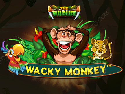 Wacky Monkey Демо