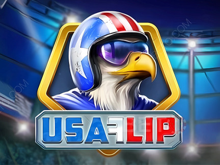 USA Flip  Демо