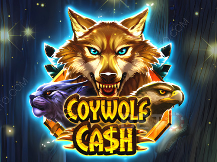 Coywolf Cash Демо