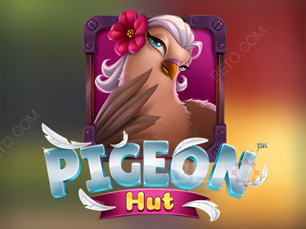 Pigeon Hut Демо