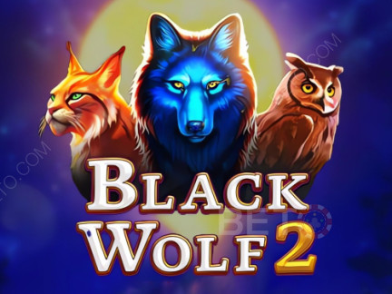 Black Wolf 2 Демо
