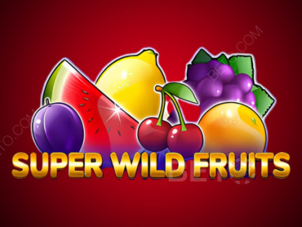 Super Wild Fruits Демо