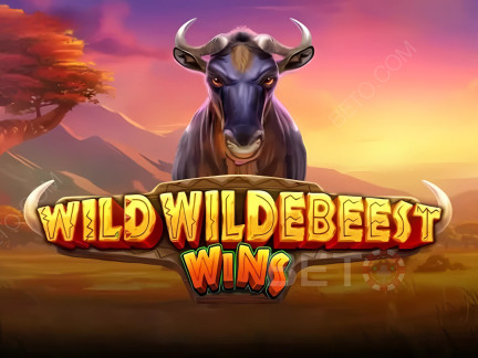 Wild Wildebeest Wins Демо