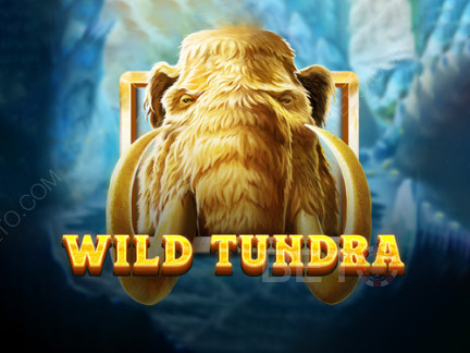 Wild Tundra Демо