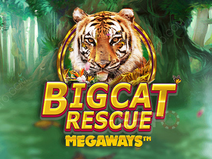 Big Cat Rescue Megaways Демо