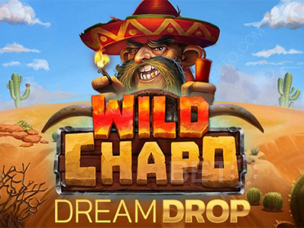 Wild Chapo Dream Drop Демо