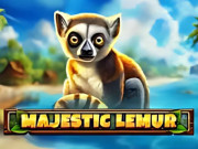 Majestic Lemur